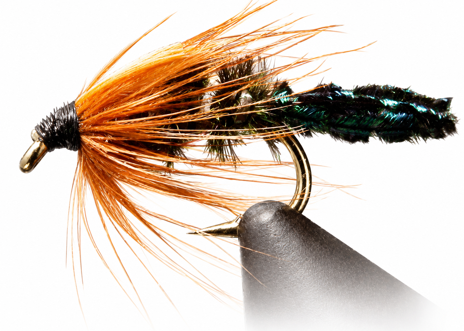 Zug Bug