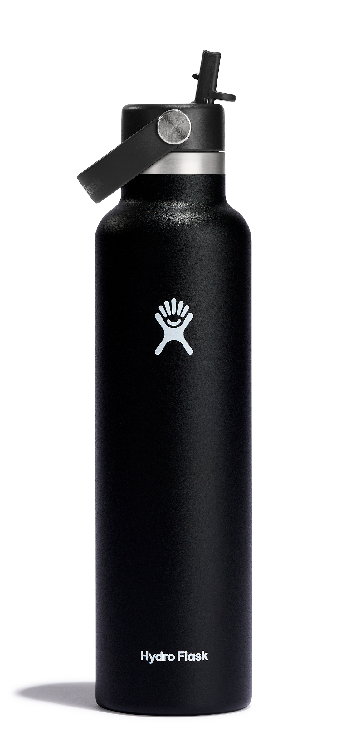 Standard Mouth 24oz Insulated Water Bottle w/ Flex Straw
