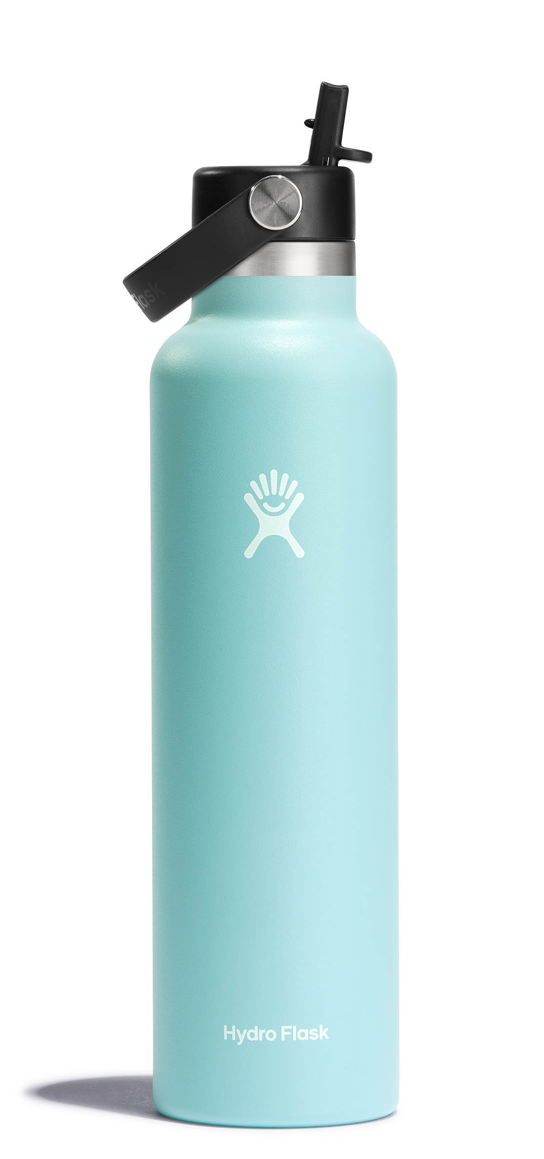 Standard Mouth 24oz Insulated Water Bottle w/ Flex Straw