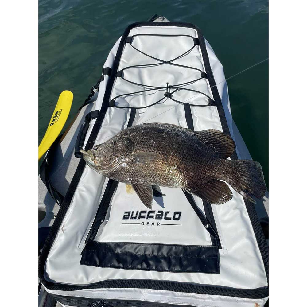36&