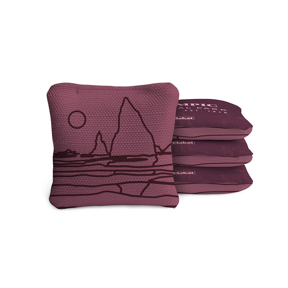 4-in Travel Dual-Sided Cornhole Bags | National Parks Collection