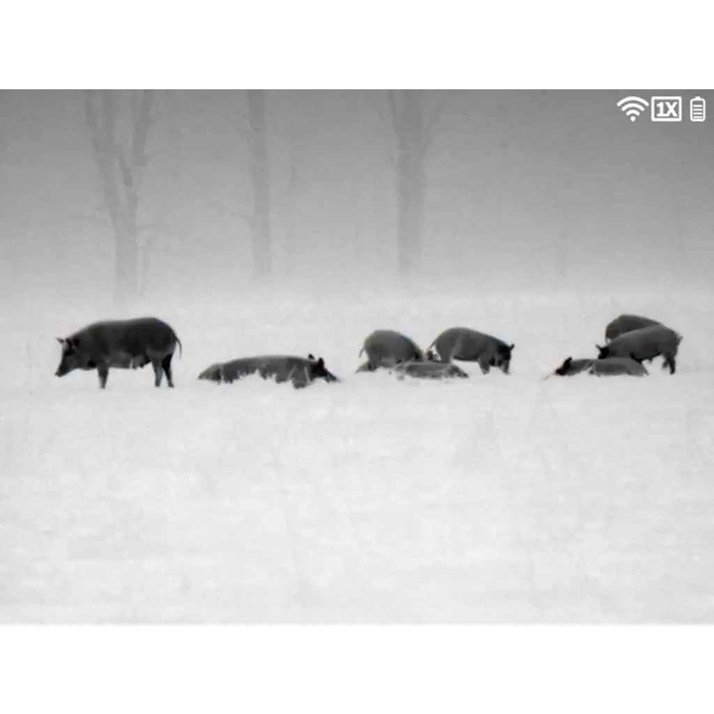 ATN Blaze Trek 319 Thermal Monocular