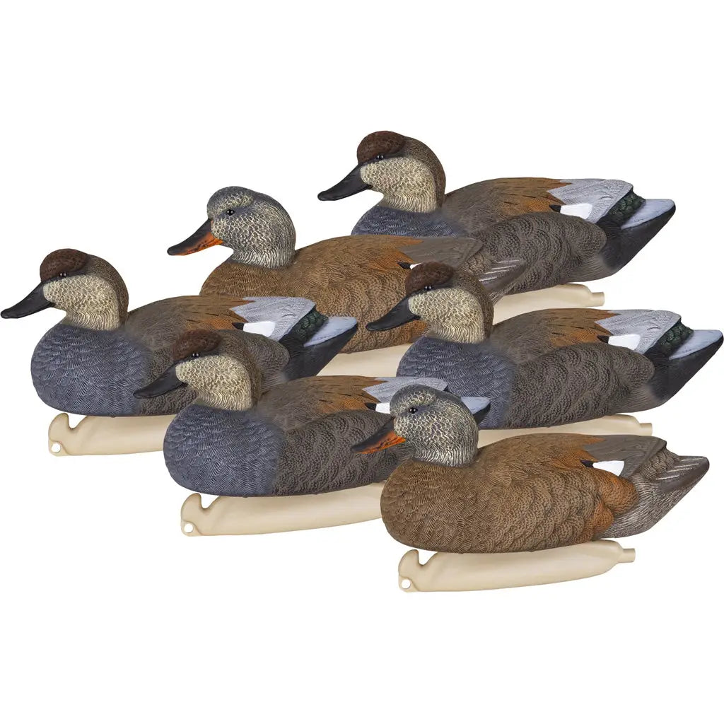 Flambeau Master Series Gadwall Floater Decoys 6pk - Realistic Drakes & Hens