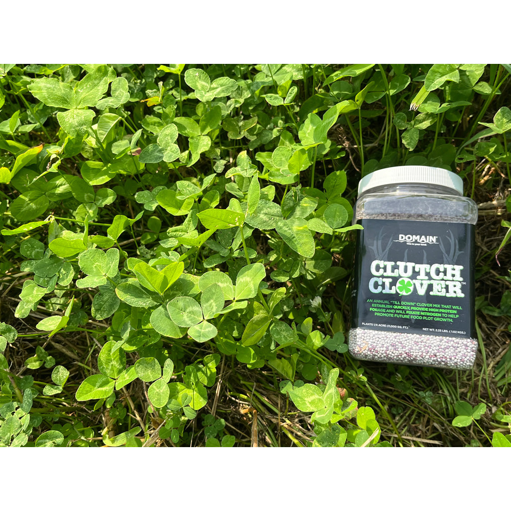 Domain Clutch Clover Seed for 1/4 Acre | Fast-Growing Forage with Soil Benefits