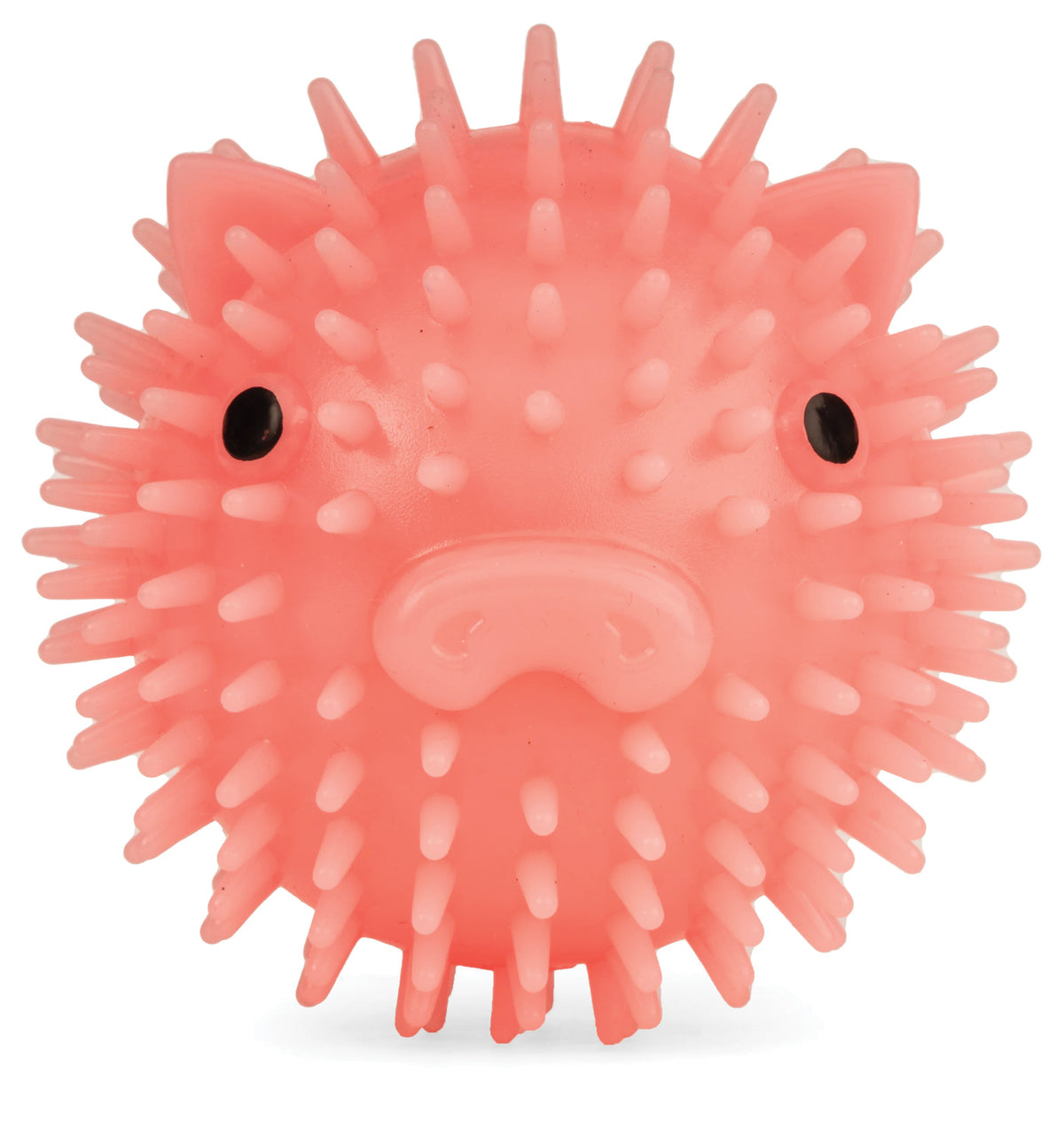 Piggy Dog Ball