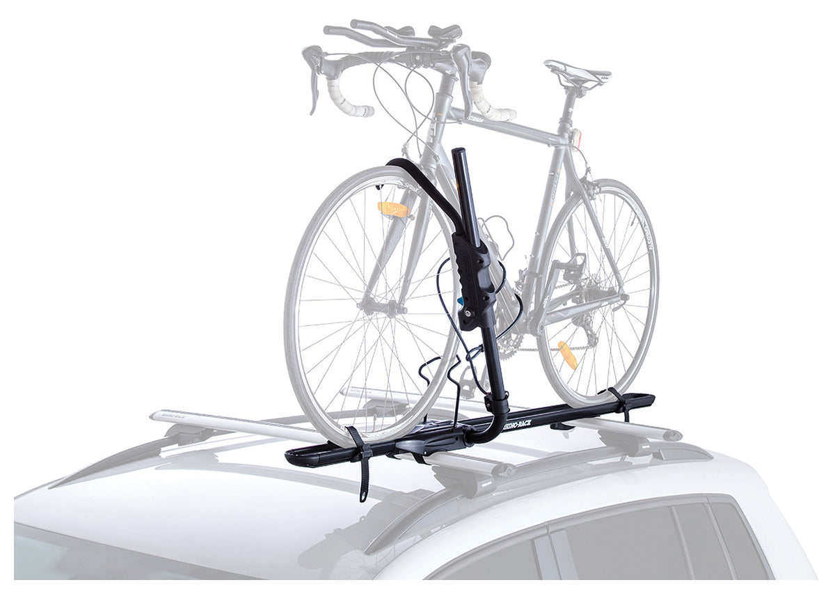 Hybrid Upright Bike Carrier