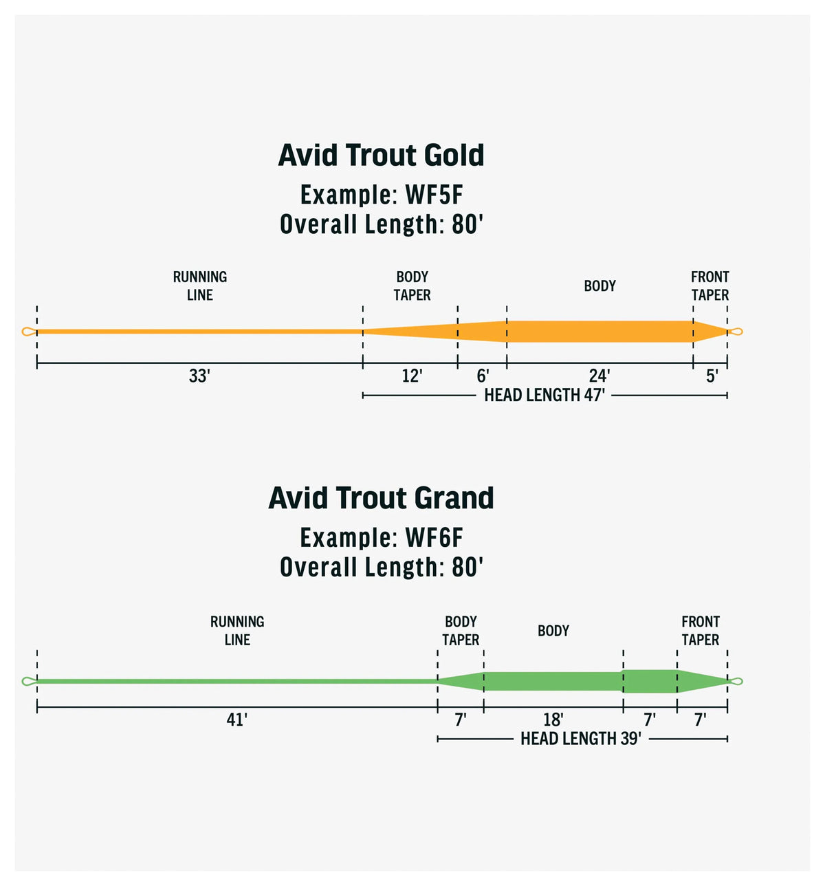 Avid Gold Wf4 F