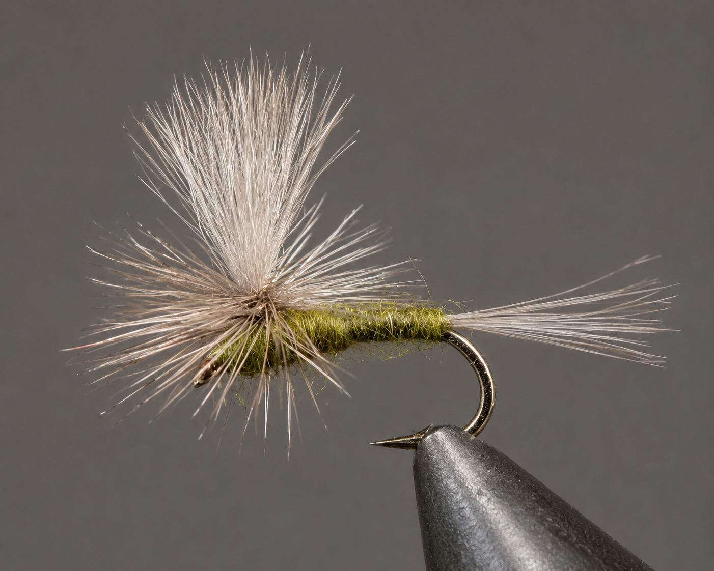 Blue Wing Olive - Parachute