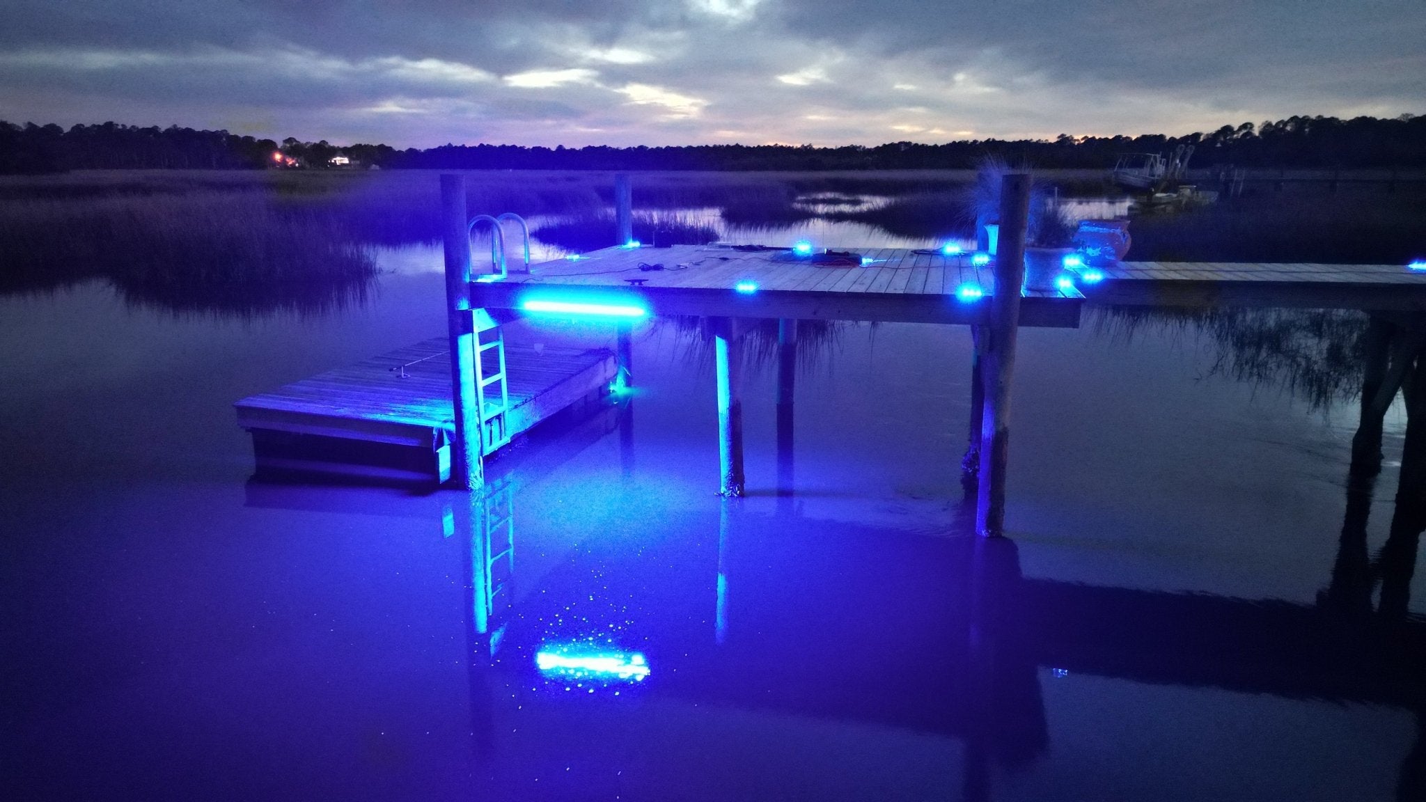 DM260B DockMaster Above Water Dock Light-Blue