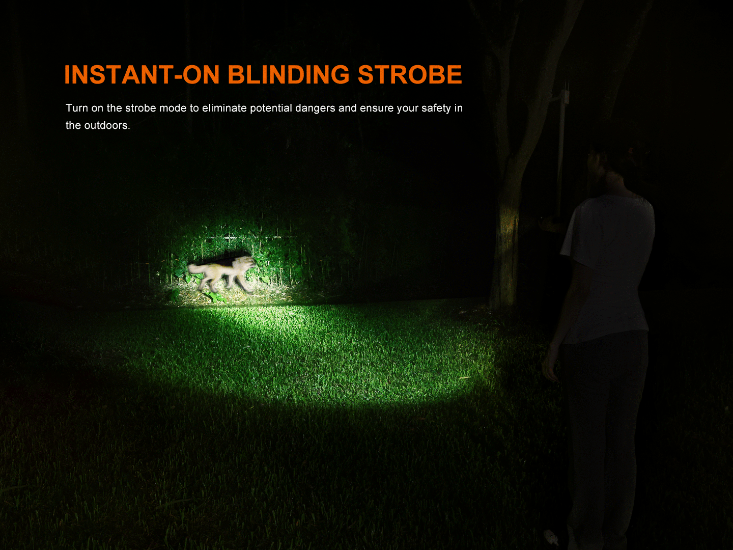 Fenix LD35R High Performance Multimode Flashlight
