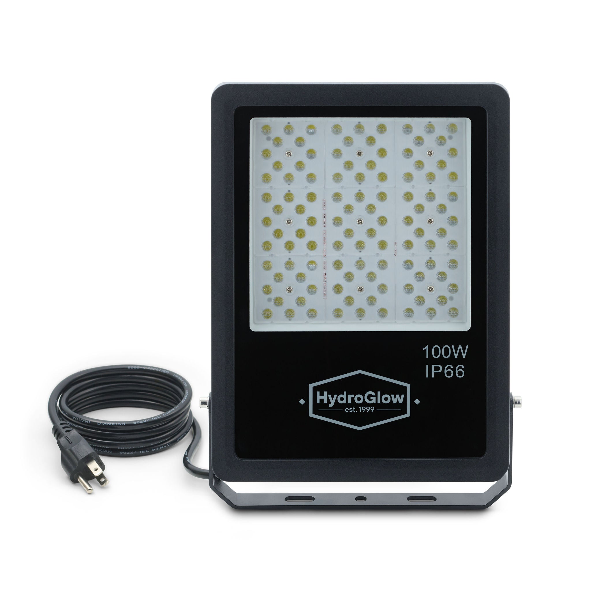 FL100W Above-Water LED Floodlight-White