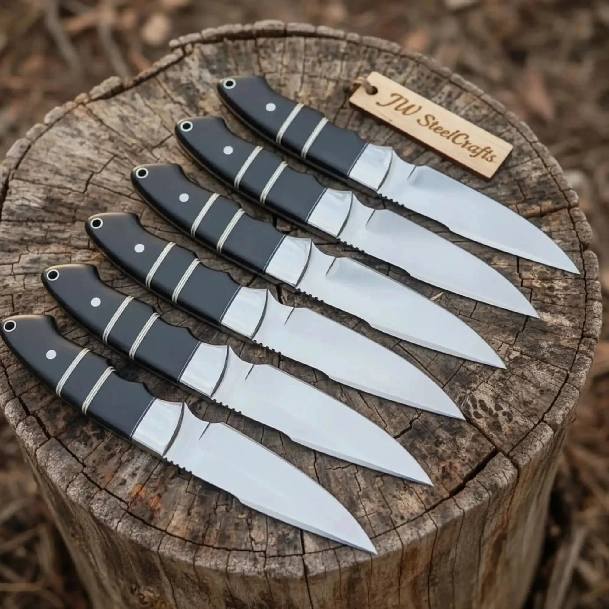 Handmade Full Tang Blades Hunting Knife Set 6-Piece High Carbon Blades with Black Resin Handles