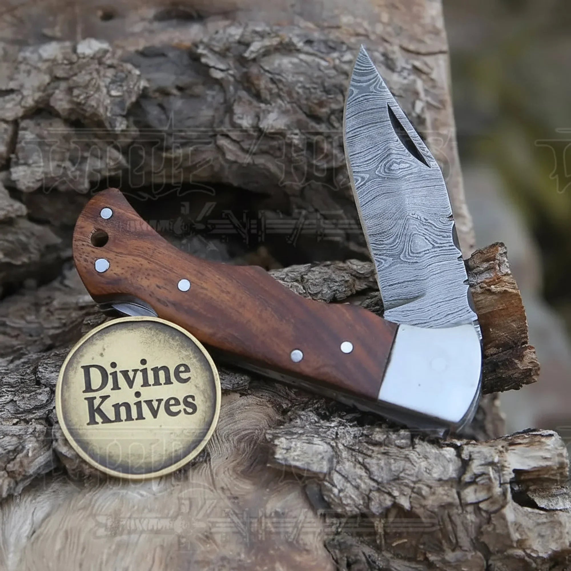 Rosewood Handle Damascus Clip Point Knife for Precision Everyday Cutting