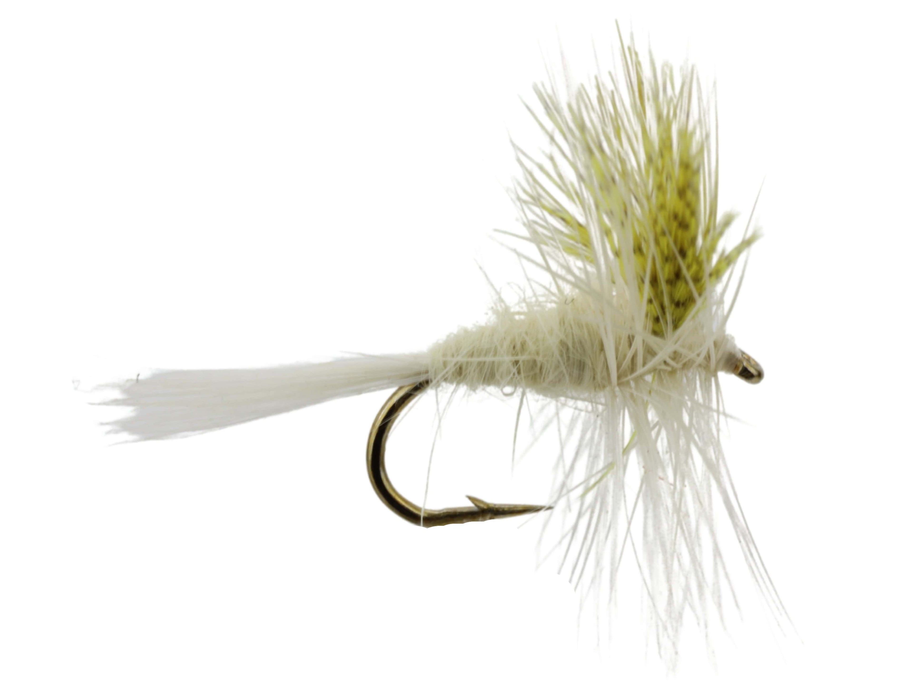 Light Cahill, Size 14 | Qty. 6 | Wild Water Fly Fishing