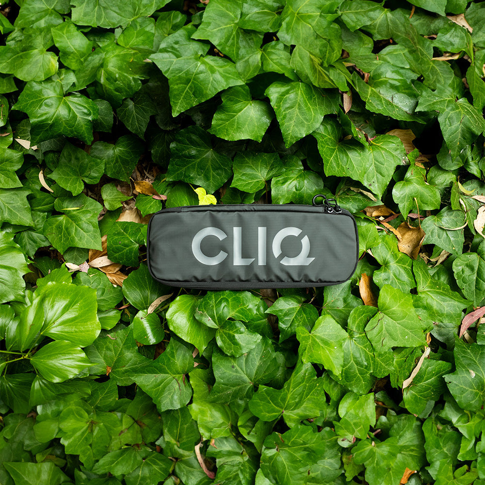 Qube