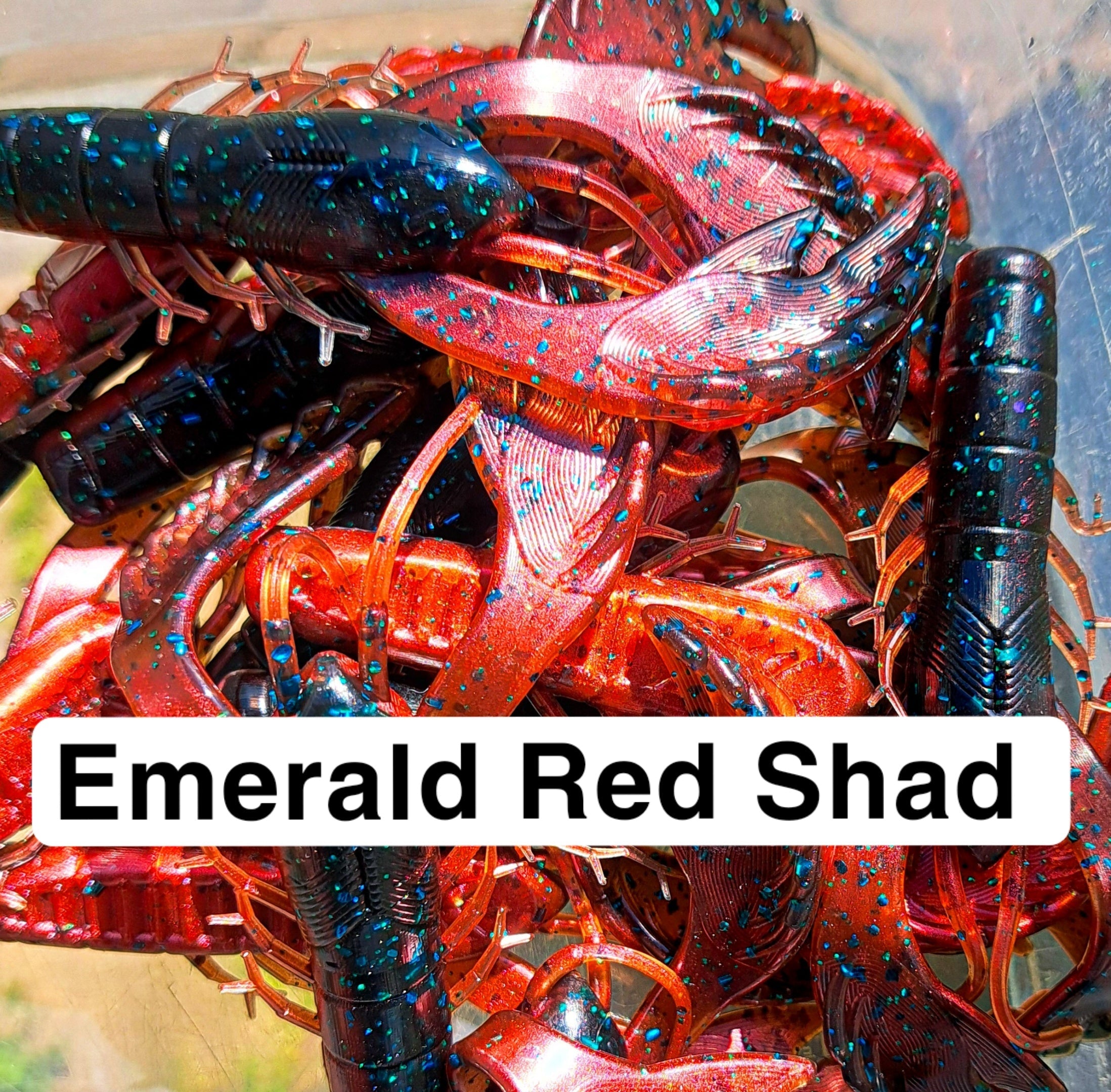 4" Chewin&