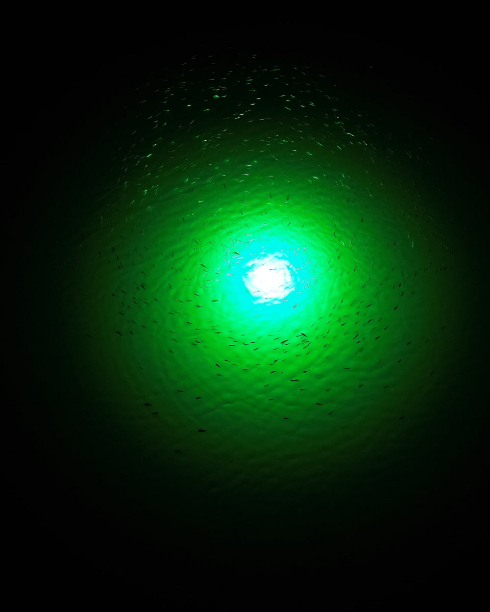 Sea Floor Dock Light-Green-SF200G
