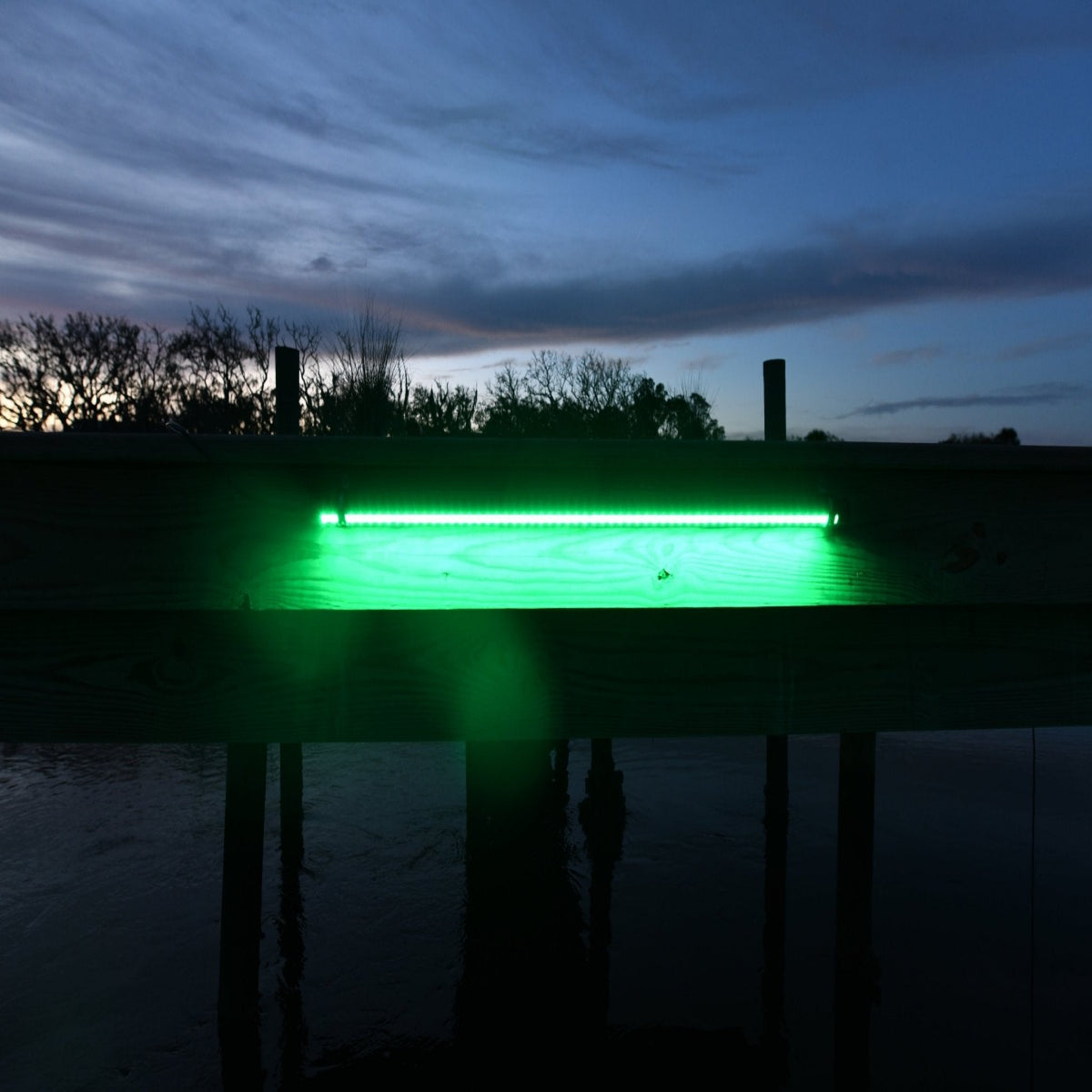 DM260G DockMaster Above Water Dock Light-Green