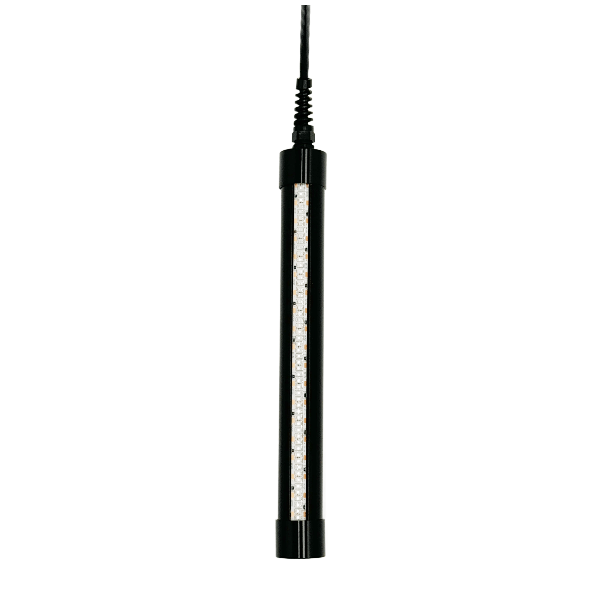 HG250G Underwater Fishing Light