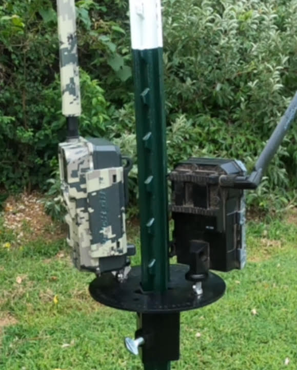 Patented T-Post Mount for 2 Trail Cameras — No Arms, Direct Mount