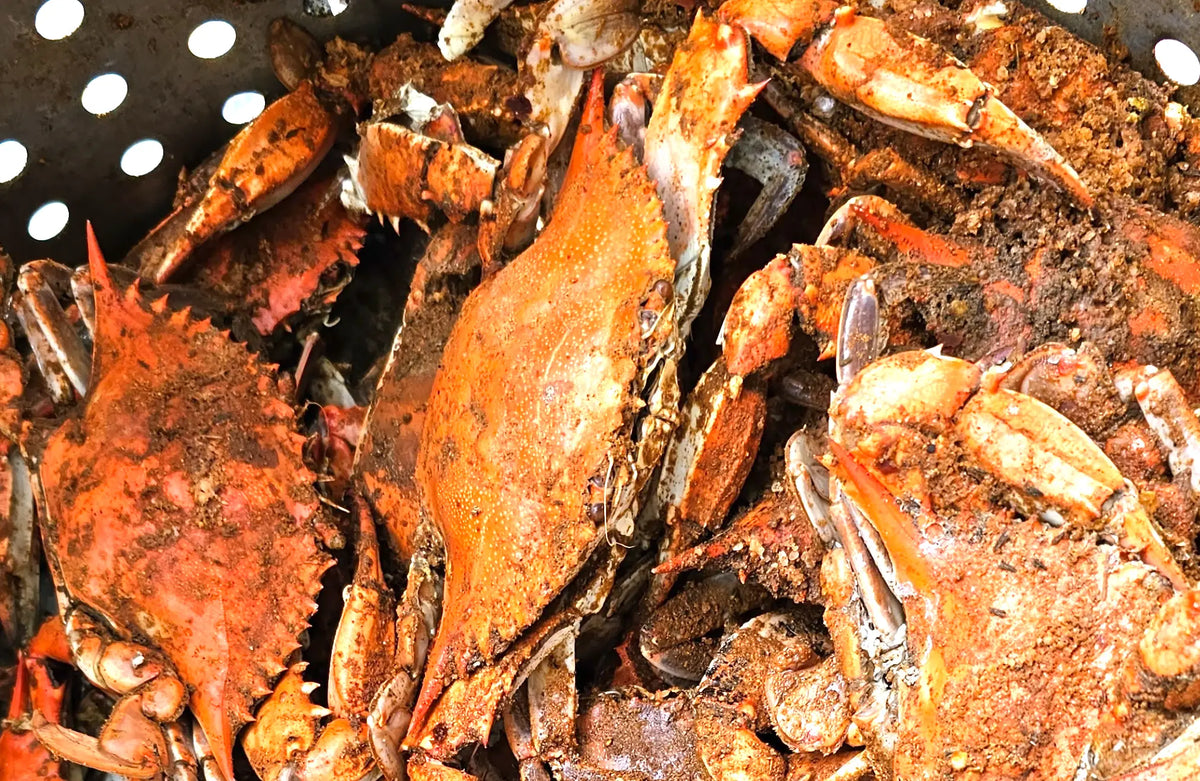 A Chesapeake Bay Tradition – Crabbing with Family