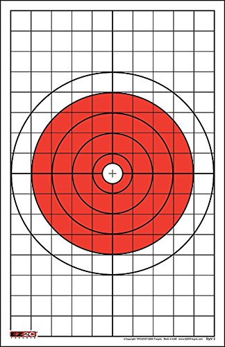 200 EZ2C Targets Most Popular 8 Styles Paper Targets Bundle Pack 11"x17" USA Made