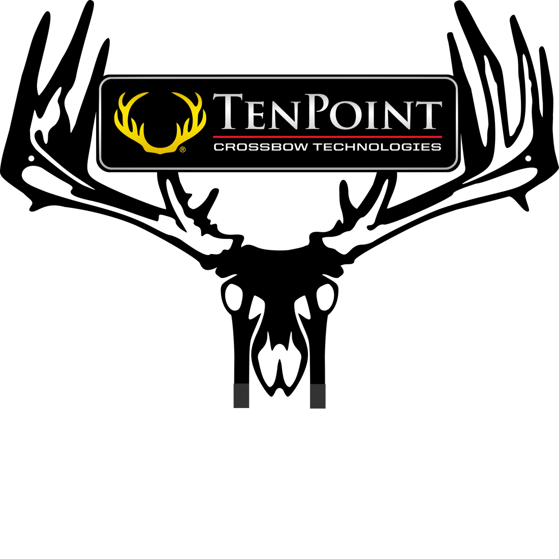 10 Point Xbow