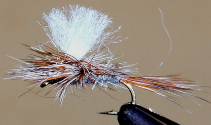 Adams Dry Fly