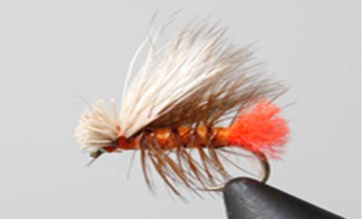 Hot Butt Caddis