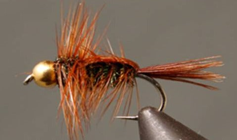 Halfback Stonefly - Bead Head