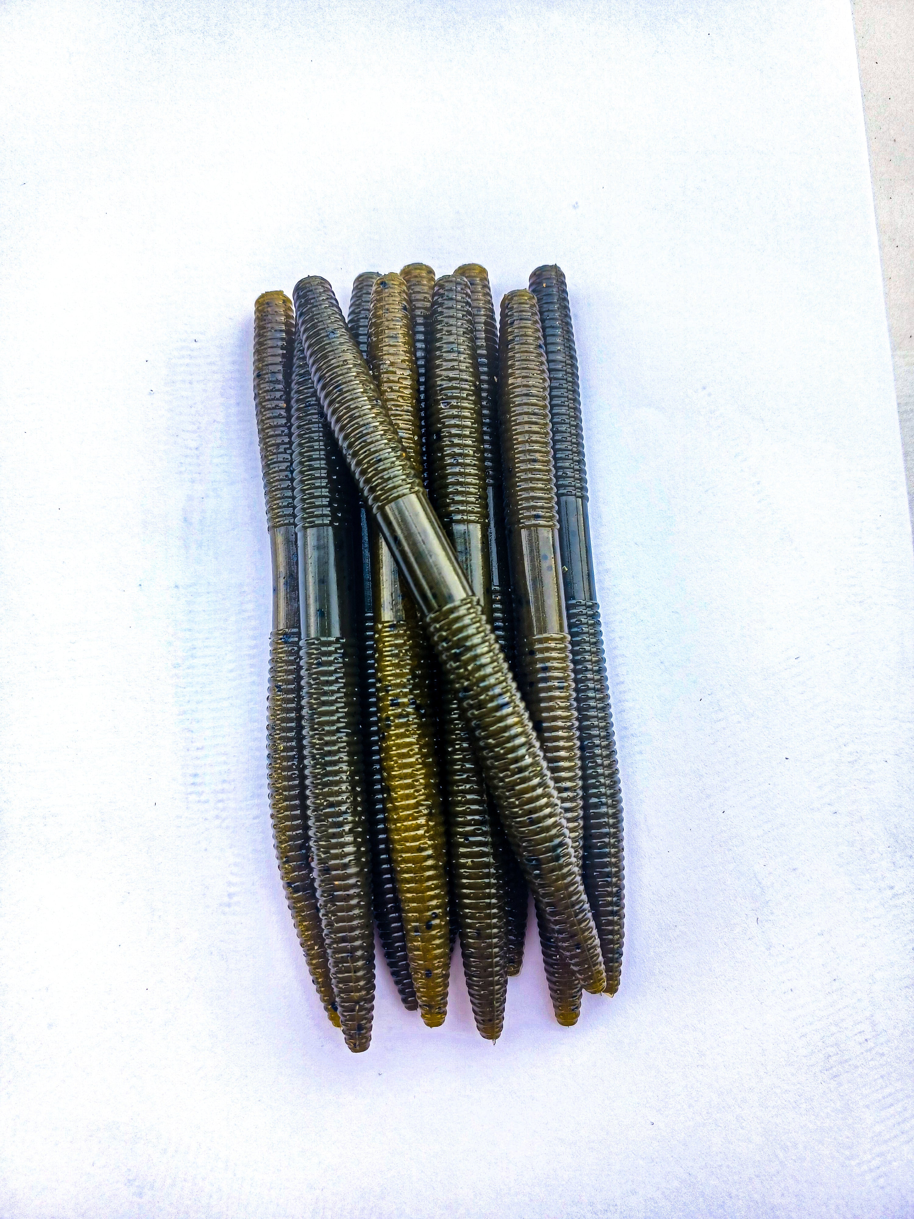 5" Stick Worm