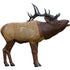 Rinehart 1/3 Scale Elk Target - Durable Self-Healing Foam