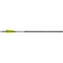 TenPoint Evo-X Center Punch Crossbow Bolts 20 in. Alpha Nocks 6 pk.