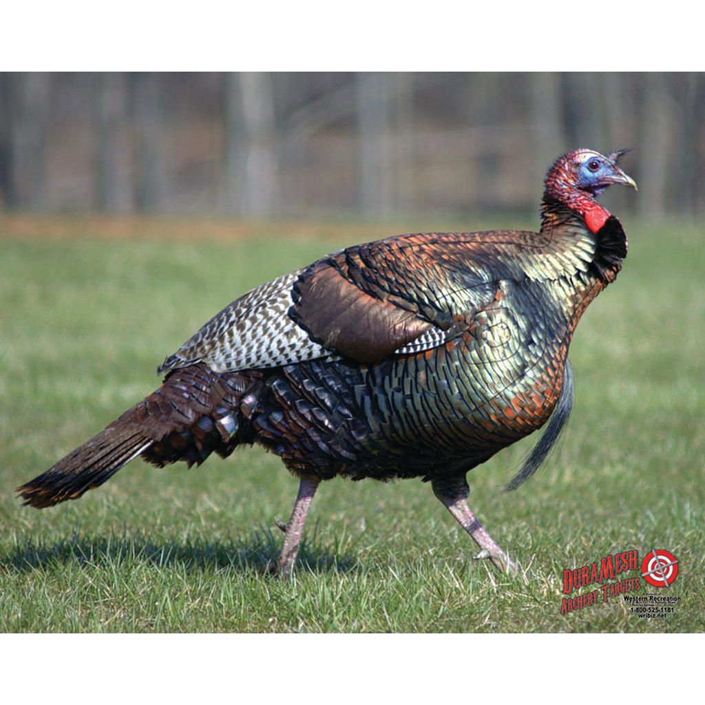 DuraMesh Archery Target Turkey - Durable and Weatherproof