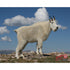 DuraMesh Archery Target Mountain Goat - Durable and Weatherproof