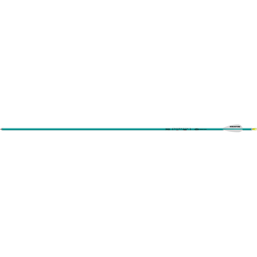 Easton Genesis Arrows Teal 1820 - 6 Pack