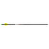 Wicked Ridge Lighted Alpha Brite Arrows Aluminum 20 in. 3 pk.