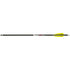 TenPoint Pro Elite 400 Arrows 20 in. White Alpha Nocks 6 pk.