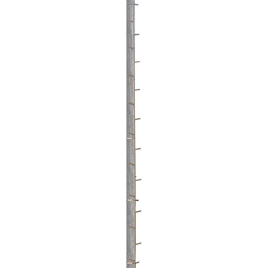 Trophy Treestands Gladiator Sticks 20 ft.