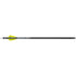 TenPoint EVO-X CenterPunch Arrows 16 in. Alpha Nocks 6 pk.