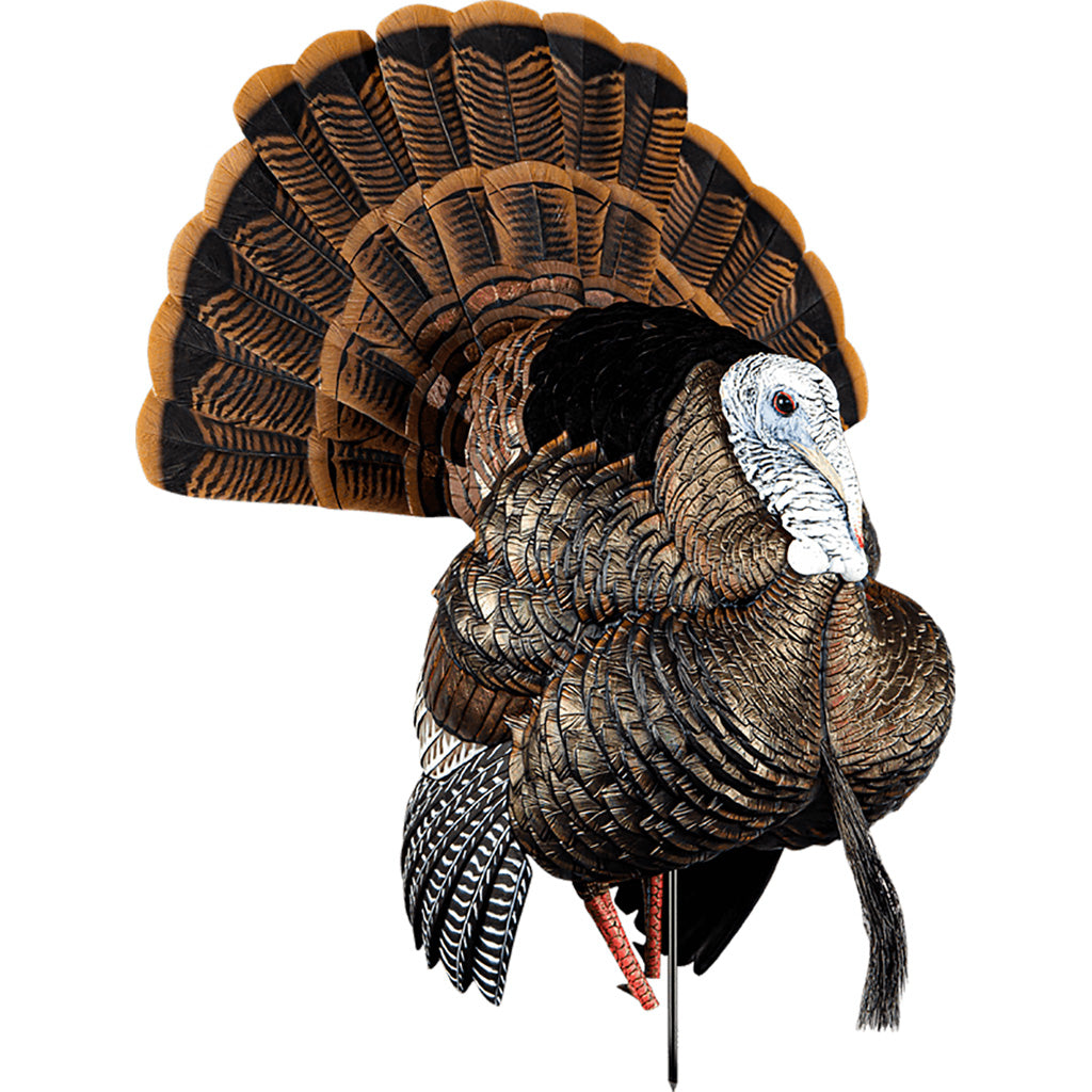 Avian X HDR Strutter Decoy - Realistic Turkey Hunting Decoy