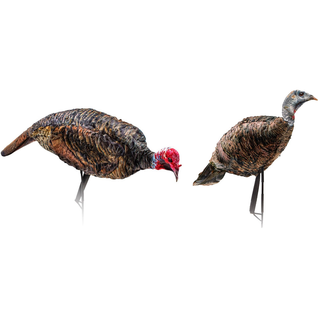 Montana Decoy Purr-Fect Pair XD Decoy Combo - Realistic Turkey Decoys