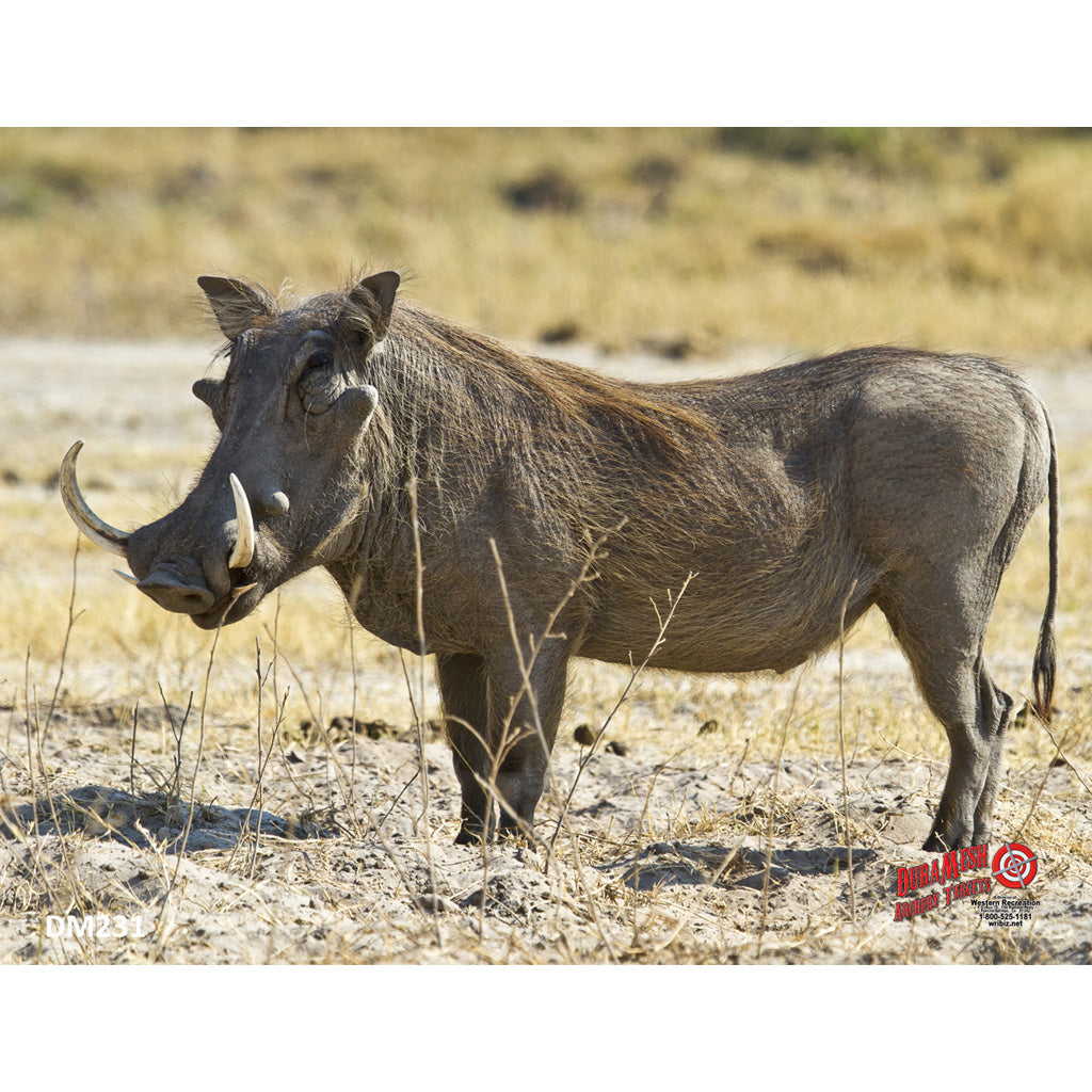 Western Recreation DuraMesh Archery Target Warthog - Weatherproof Design