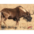 Western Recreation DuraMesh Archery Target Black Wildebeest - 25 in. x 32 in.