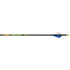 Gold Tip Hunter XT Arrows 340 with Raptor Vanes - 12 Pack