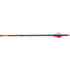 Gold Tip Hunter Arrows 340 Raptor Vanes 12 pk.