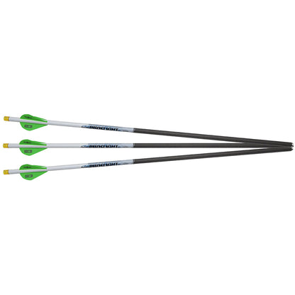 Excalibur ProFlight Illuminated Crossbow Bolts 20 in. 3 pk.
