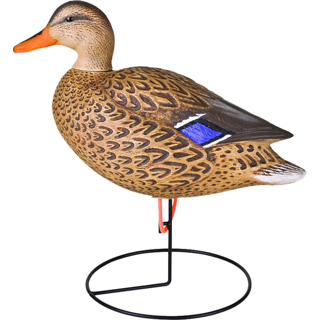 Flambeau Field Mallard Decoy 6 Pack - Ultimate Hunting Companion