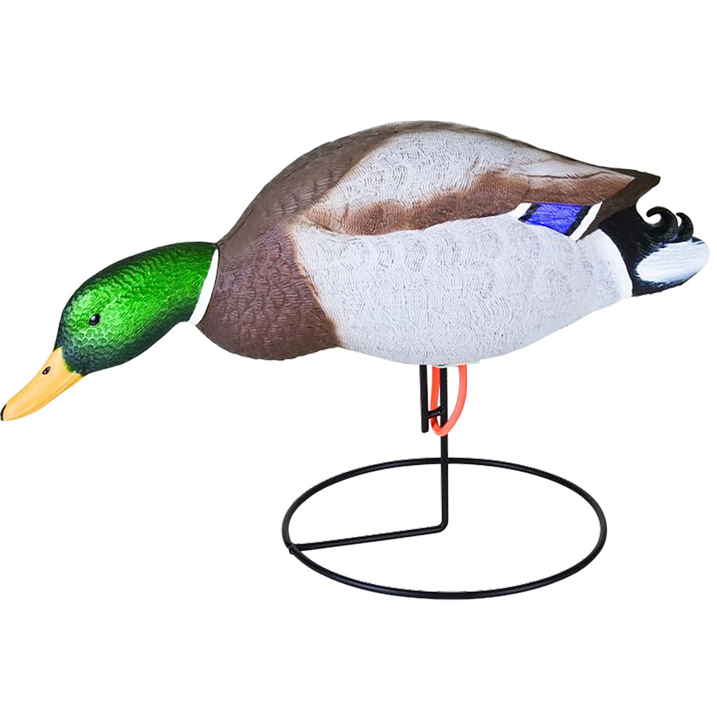 Flambeau Field Mallard Decoy 6 Pack - Ultimate Hunting Companion