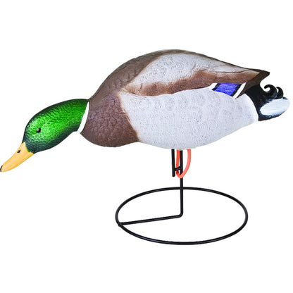Flambeau Field Mallard Decoy 6 Pack - Ultimate Hunting Companion